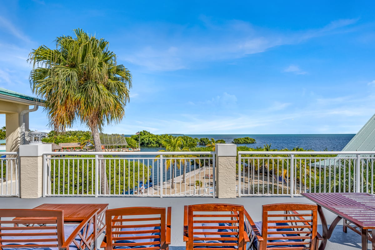 Open view from the upper deck at Dove Creek, palms and the water stretching out beyond the property