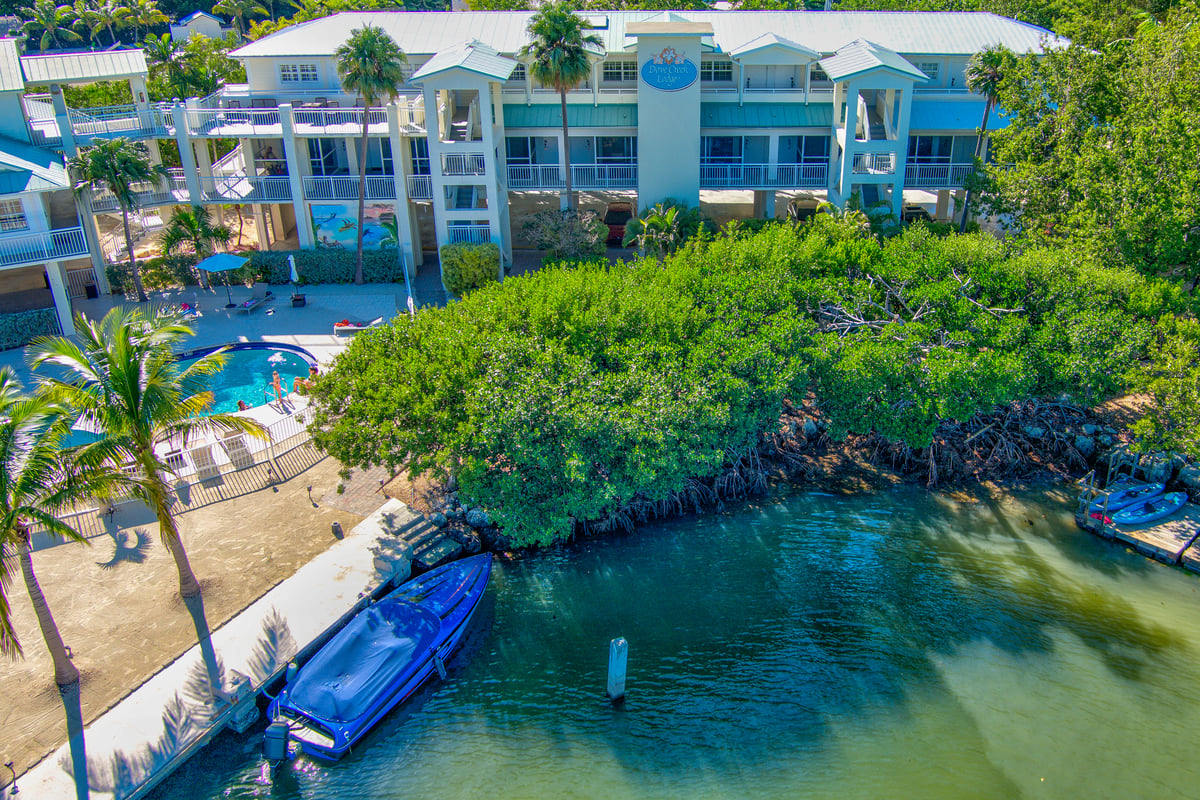 Top-down aerial over the Dove Creek pool terrace, loungers and umbrellas ringing the water with the creek beyond