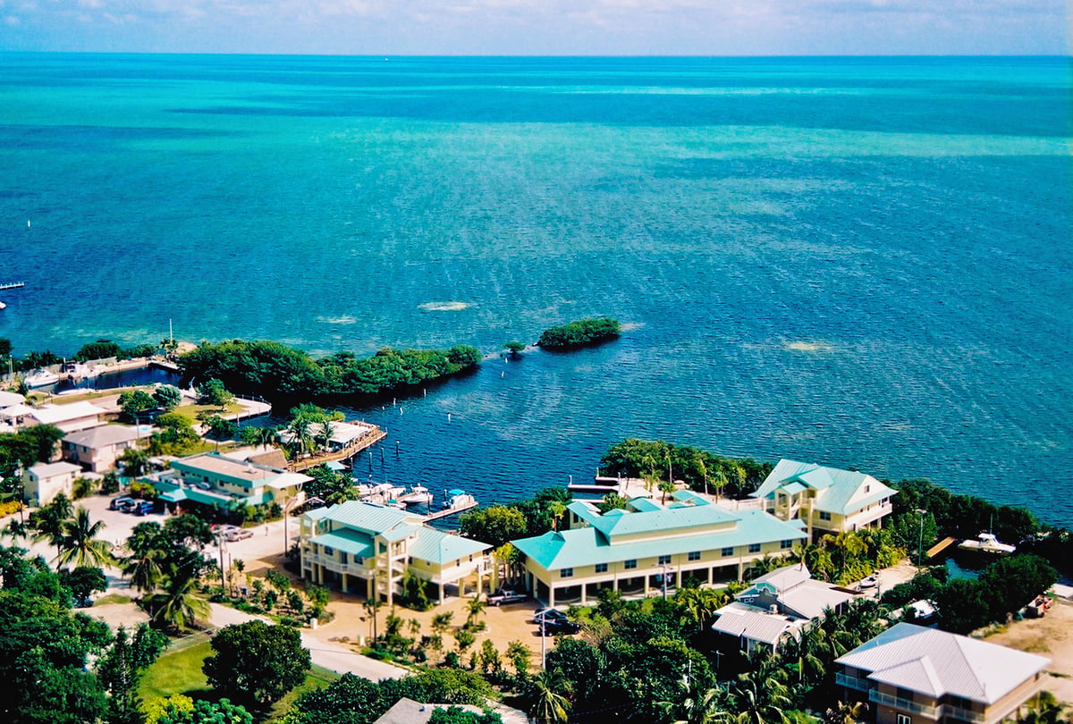 Aerial view over Dove Creek Resort & Marina showing the pool deck, palm canopy and the Atlantic beyond