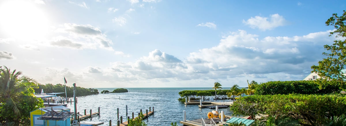 Open water view from the Dove Creek waterfront, Key Largo